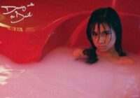Makna lagu Dancing With The Devil