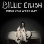 Makna lagu Billie Eilish, "wish you were gay"