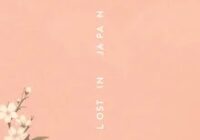 makna lagu lost in japan shawn mendes