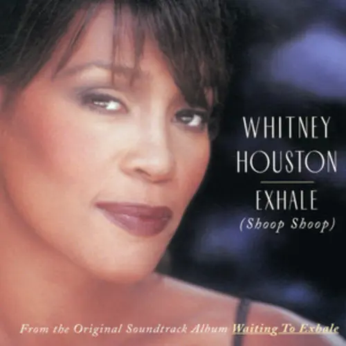 makna lagu Whitney Houston - Do You Hear What I Hear?