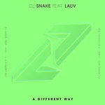 makna lagu DJ Snake - A Different Way (with Lauv)