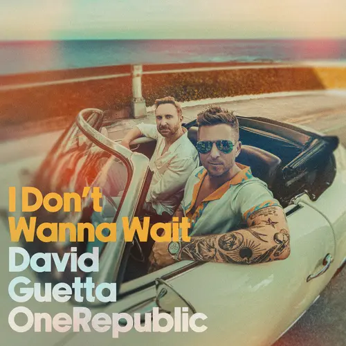 David Guetta I Don't Wanna Wait
