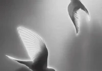 makna lagu Hindia - perseverance (in the face of grief)