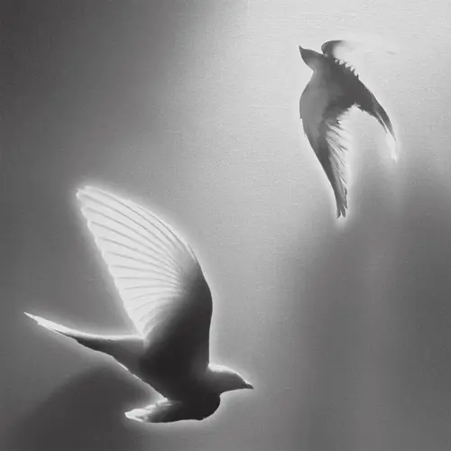 Hindia betty ft. White Chorus