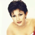 makna lagu Mayangsari - Tiada Lagi