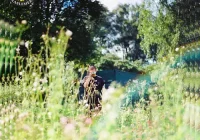 makna lagu Rex Orange County - Sunflower