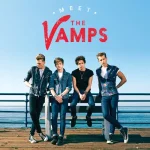 makna lagu The Vamps - Somebody To You