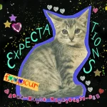 Makna Lagu Expectations Anne-Marie makna lagu Anne-Marie - Expectations