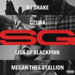 Makna Lagu SG (with Ozuna, Megan Thee Stallion DJ Snake makna lagu DJ Snake - SG (with Ozuna, Megan Thee Stallion