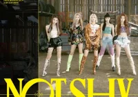 makna lagu ITZY - Not Shy (English Ver.)