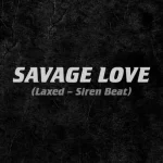 makna lagu Jawsh 685, Jason Derulo & BTS - Savage Love (Laxed - Siren Beat) [BTS Remix]