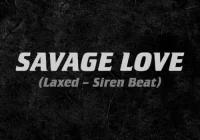 makna lagu Jawsh 685, Jason Derulo & BTS - Savage Love (Laxed - Siren Beat) [BTS Remix]