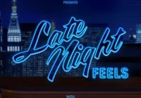 makna lagu Sam Feldt - Late Night Feels