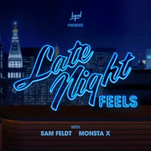 Sam Feldt Late Night Feels