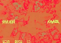 makna lagu Steve Aoki - Head Rush