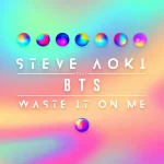 makna lagu Steve Aoki - Waste It On Me