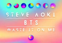 makna lagu Steve Aoki - Waste It On Me