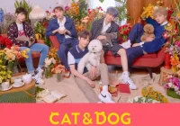 makna lagu TOMORROW X TOGETHER - Cat & Dog