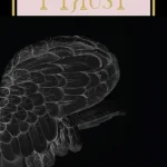 makna lagu i-dle - Oh my god - English Version