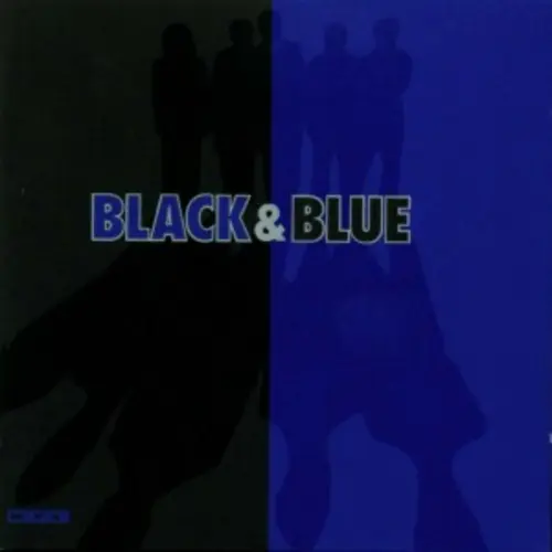 Backstreet Boys Shape of My Heart