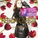 makna lagu Belinda Carlisle - Live Your Life Be Free