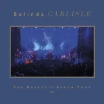makna lagu Belinda Carlisle - A Vision of You