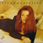 makna lagu Belinda Carlisle - (We Want) The Same Thing