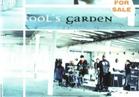 makna lagu Fools Garden - It Can Happen