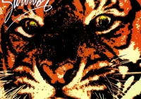 makna lagu Survivor - American Heartbeat
